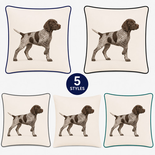 German shorthaired pointer - german,