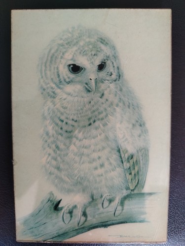 Basil ede owl wooden plaque - basil,
