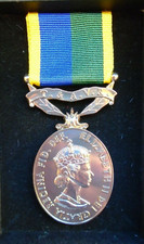 Territorial efficiency medal - medal, t