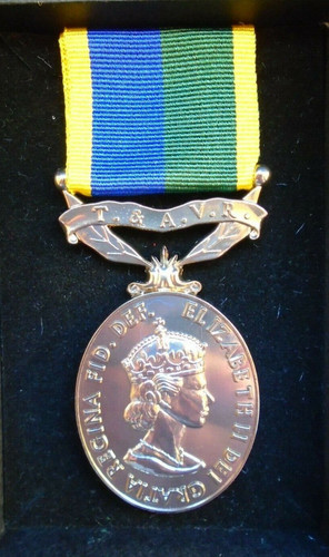 Territorial efficiency medal - territorial,