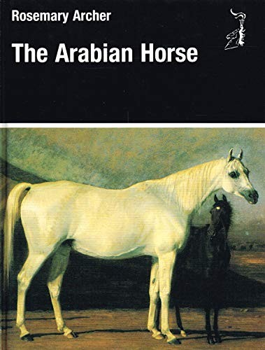 The arabian horse archer - by,