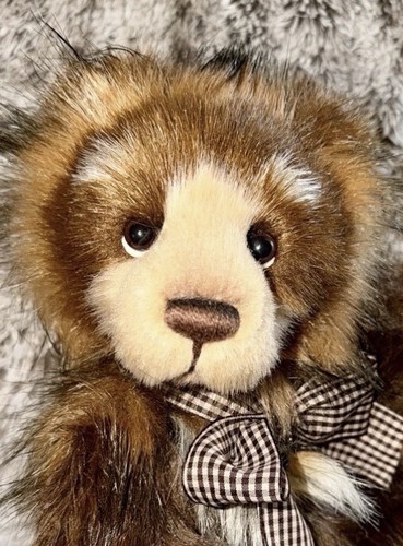 Charlie bears ray - ray, 2021