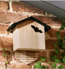 Bat Box Create A Safe Haven