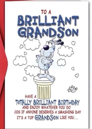 1pc funny grandson birthday - 1pc,