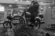 Triumph Tiger cub scrambler