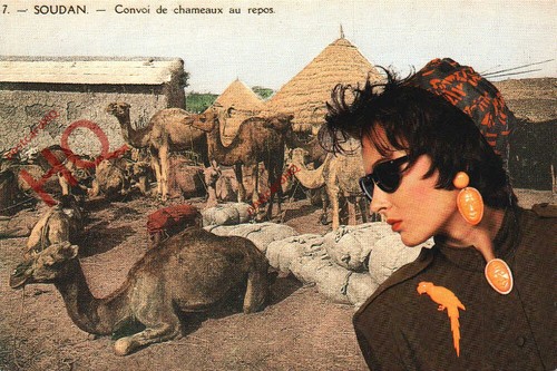 Picture postcard advertising - picture, postcard:-advertising
