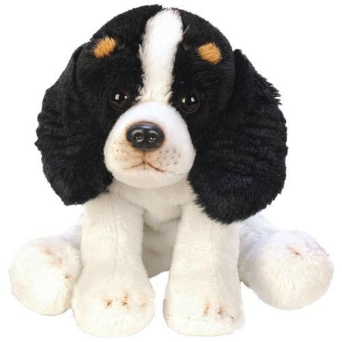 Sitting king charles - charles, spaniel