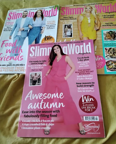 Slimming world magazine bundle - world,