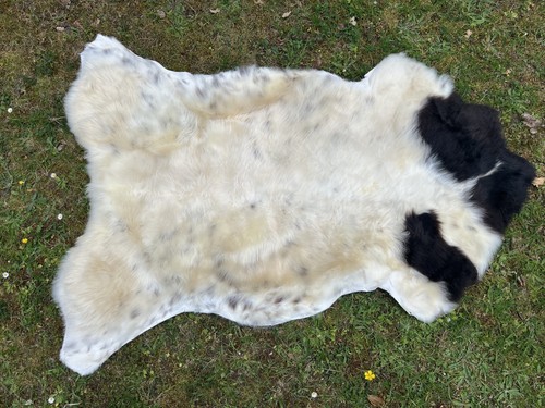 Nice new real rare - nice,