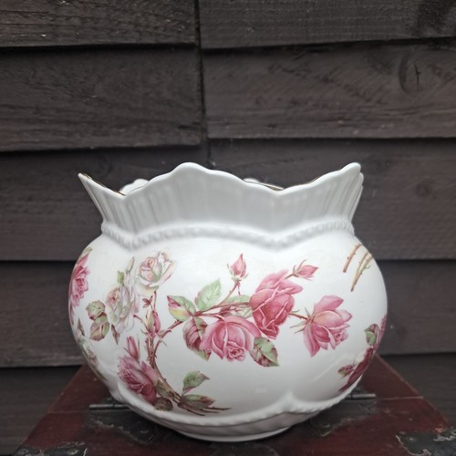 Aynsley fine bone - aynsley,