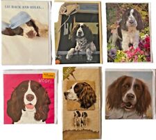 Springer Spaniel dog birthday