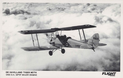 Havilland tiger moth real - tiger,