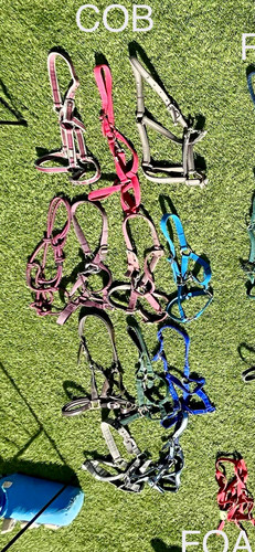 Assorted mixed colour - assorted,
