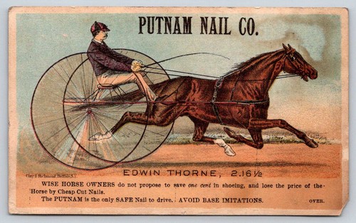 1881 putnam nail harness - nail,