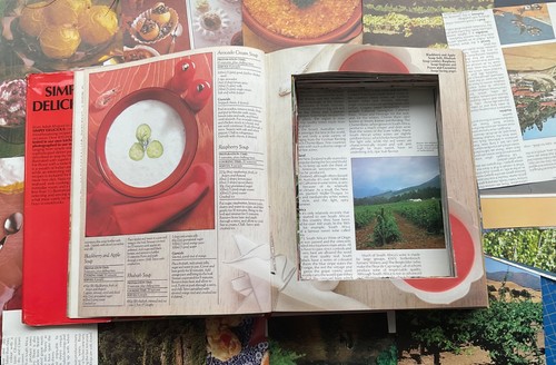 Real book safe - real, secret