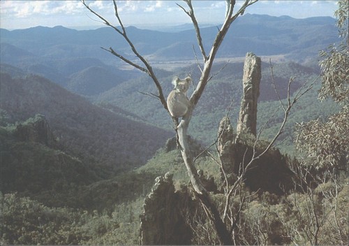 Vintage 1988 australia - 1988,