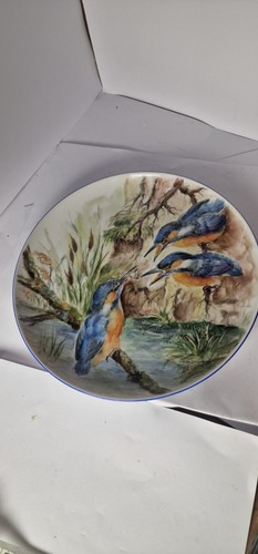 Vintage kingfisher plate - vintage,