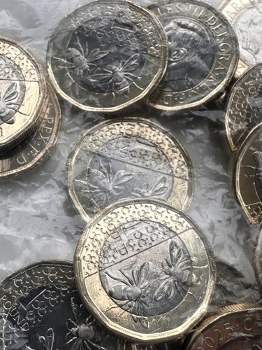 2025 pound bees coin - pound,