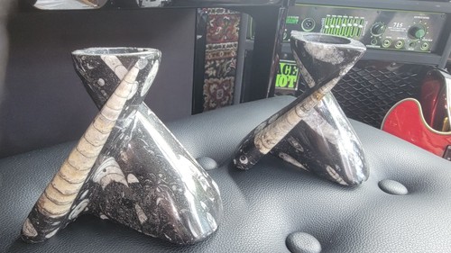 Fossil candle holders - fossil,