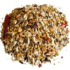 CONURE MIX - (350g to 15kg) - Exotic Bird Seed Cockatoos Poicephalus Caique Food