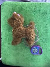 Fluffy Puppies Walking Puppy