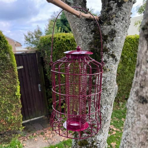 Hanging squirrel proof - proof, peanut