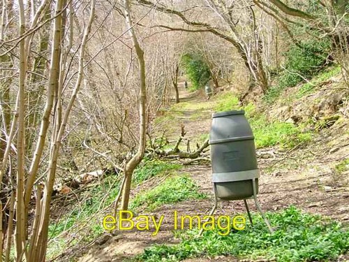 Photo 6x4 pheasant feeders - 6x4,