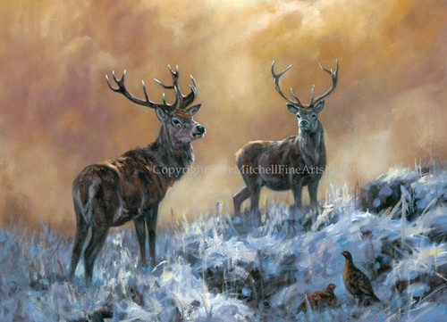 Stag and grouse christmas - and,