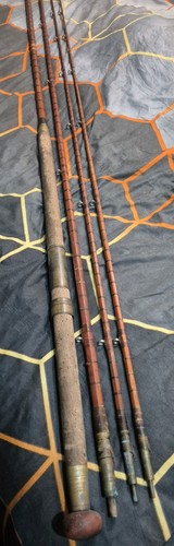 Scarce early hardy 18ft - scarce,