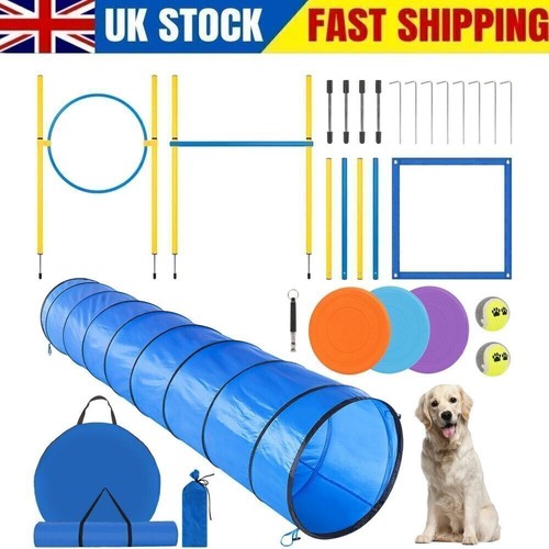 Dog agility equipment - dog, set