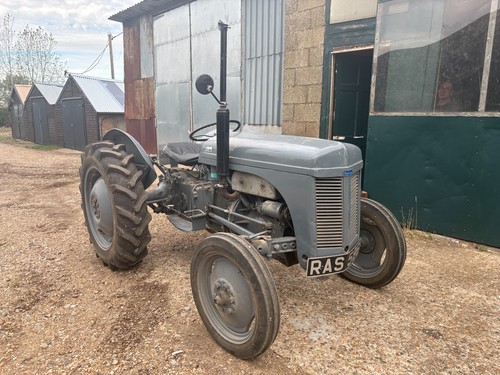 1951 grey fergie tractor - fergie,