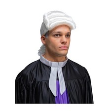 Wicked Costumes - Court Judge