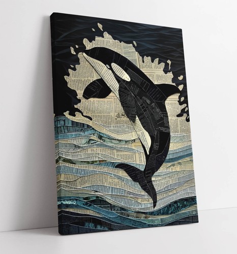 Orca jumping out - jumping,