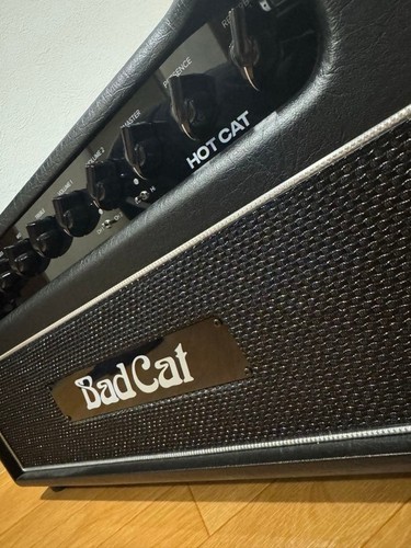 Rare badcat hotcat - rare, amp