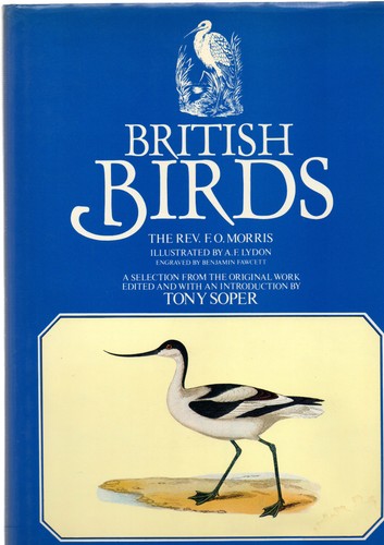 British birds francis orpen - birds,