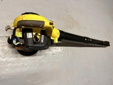 Ryobi Leaf Blower & Vacuum