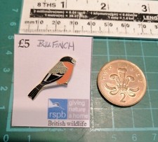 Bullfinch Pin. RSPB Bird
