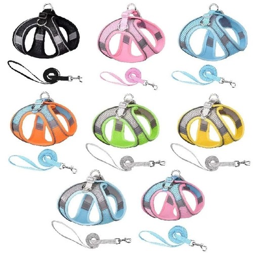Dog harness and - leash, set