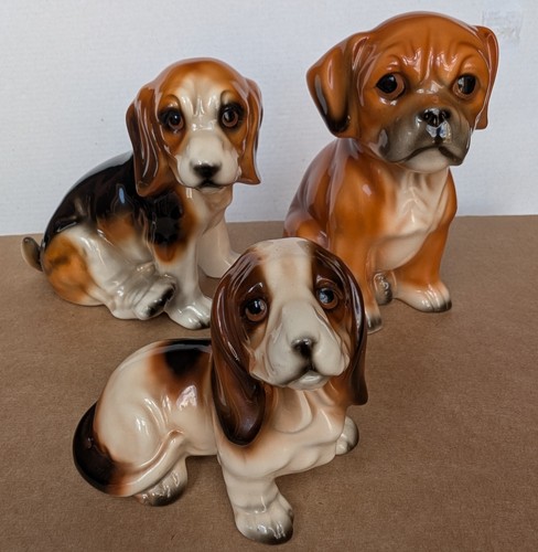 Beagle boxer basset hound - beagle,,