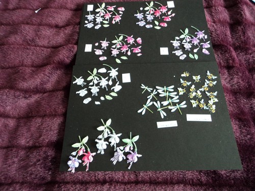 Tattered lace decoupage - 3d,