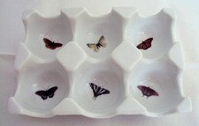 Butterflies Egg Tray 6 Eggs