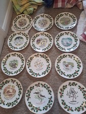 Royal Grafton Fine English