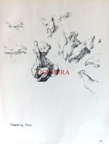 Dowd 1941 people of - j, h