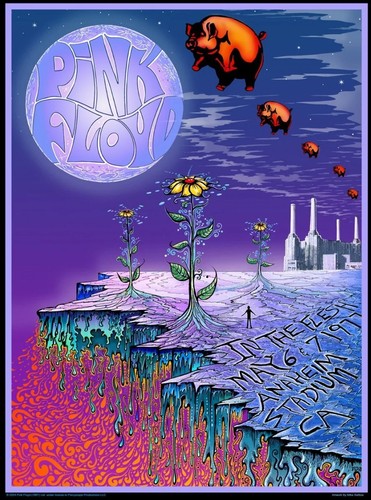 Pink floyd the - in,