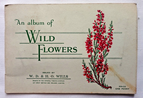 Album wild flowers - of,