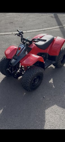 A50 2006 quad - lt-a50,