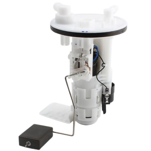 Fuel pump module assembly - fuel,