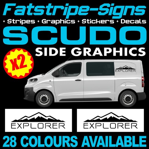 Fits fiat scudo - fits, graphics