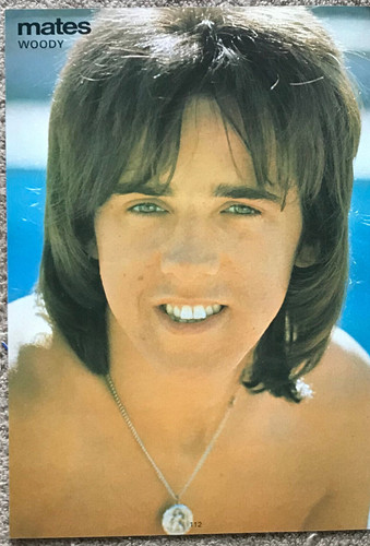 Woody bay city rollers - woody,