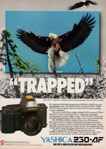 Yashica 230 camera - 230-af,